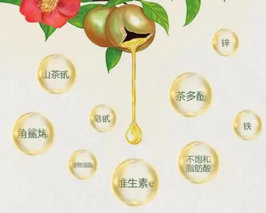 茶油的來源有哪些(茶油的主要成分是什么)