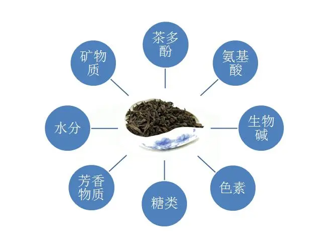 喝茶對人的身體有什么好處嗎？什么人不能喝茶？