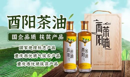 打響重慶油茶品牌！一滴油撬動(dòng)鄉(xiāng)村振興大產(chǎn)業(yè)